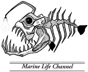 Marine Life Channel