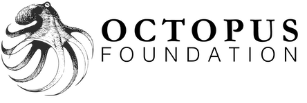 Octopus Foundation